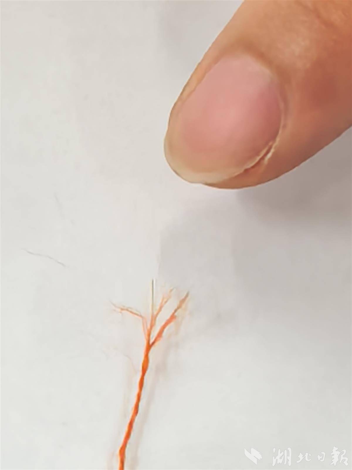打鱼游戏